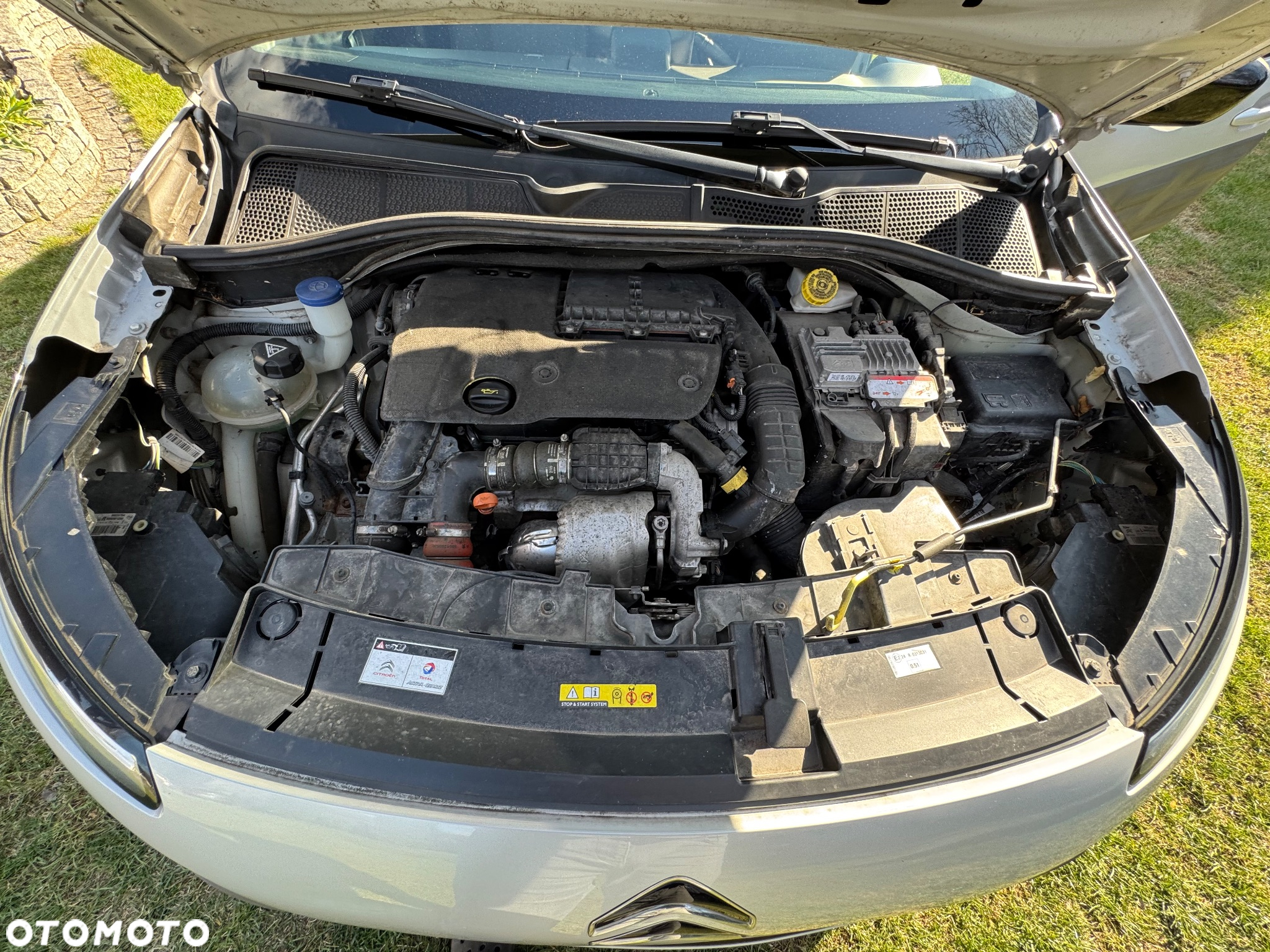 Citroën C4 Cactus BlueHDi 100 Stop&Start Shine - 34