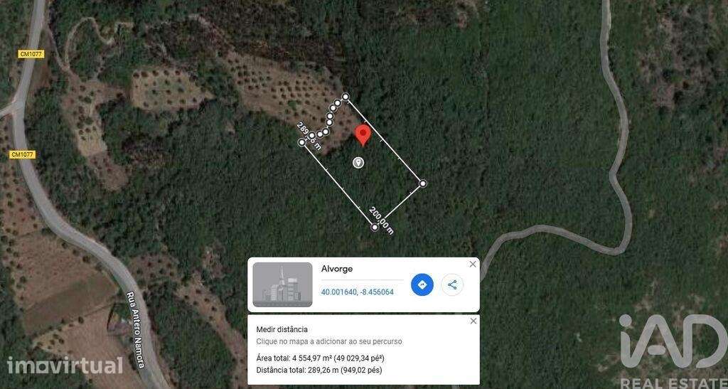Terreno em Alvorge de 4550,00 m2 - Grande imagem: 2/9