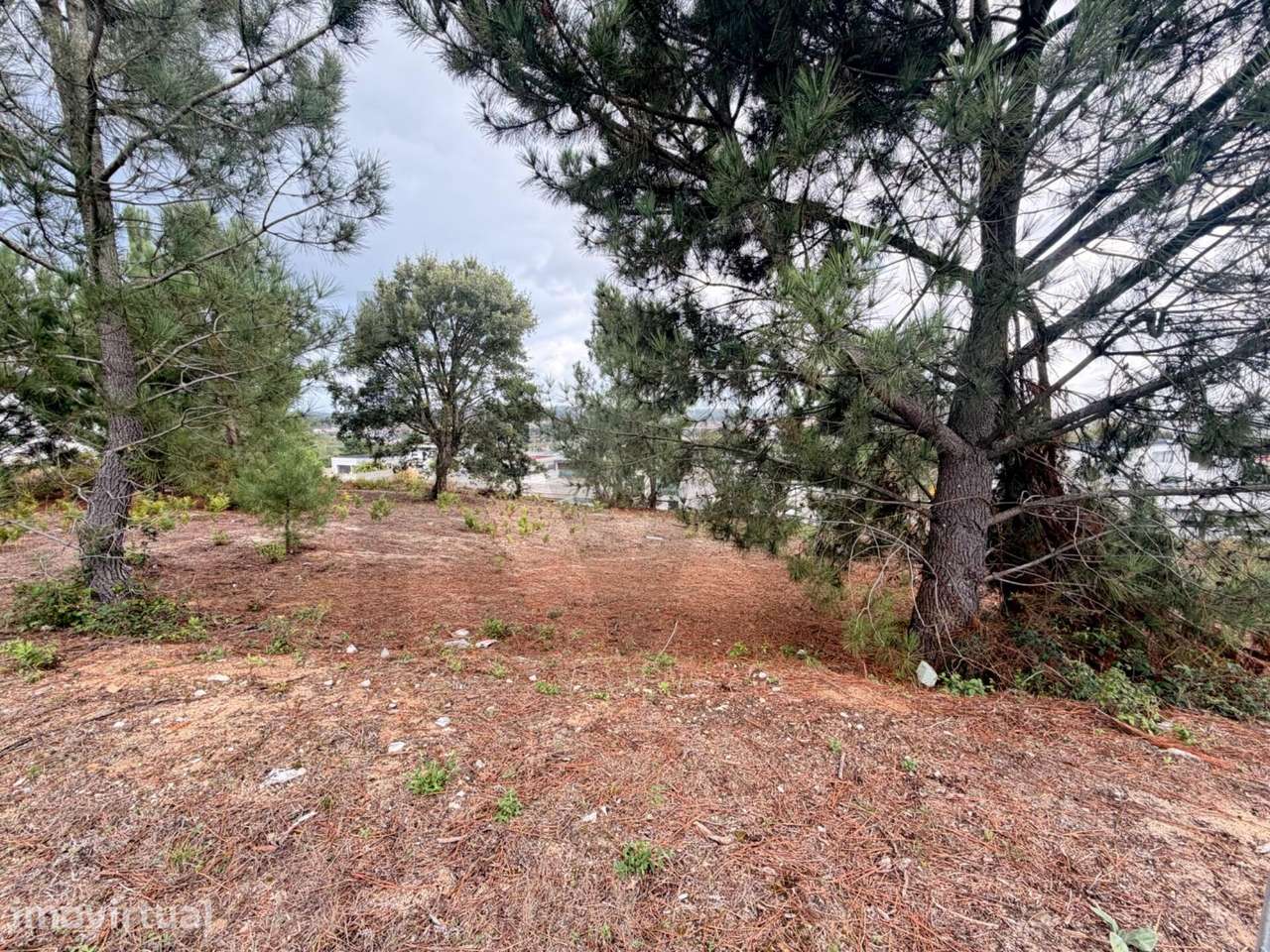 Lote de Terreno para contrução - Rio Maior - - Grande imagem: 4/10