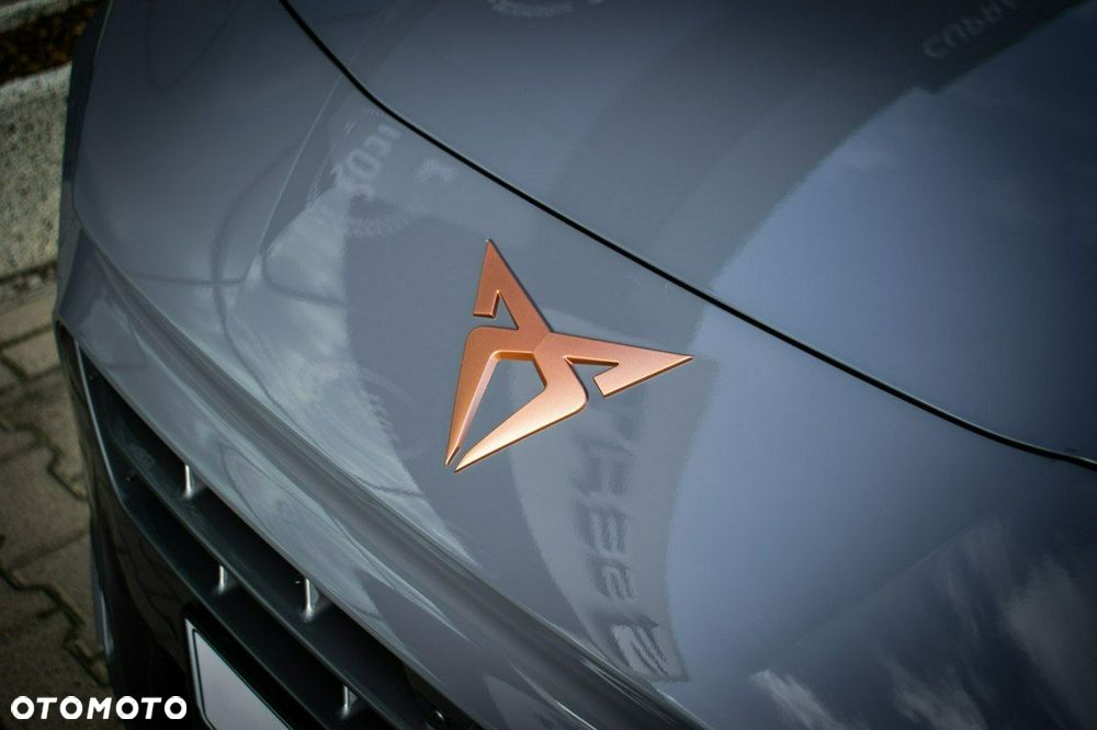 Cupra Terramar - 4