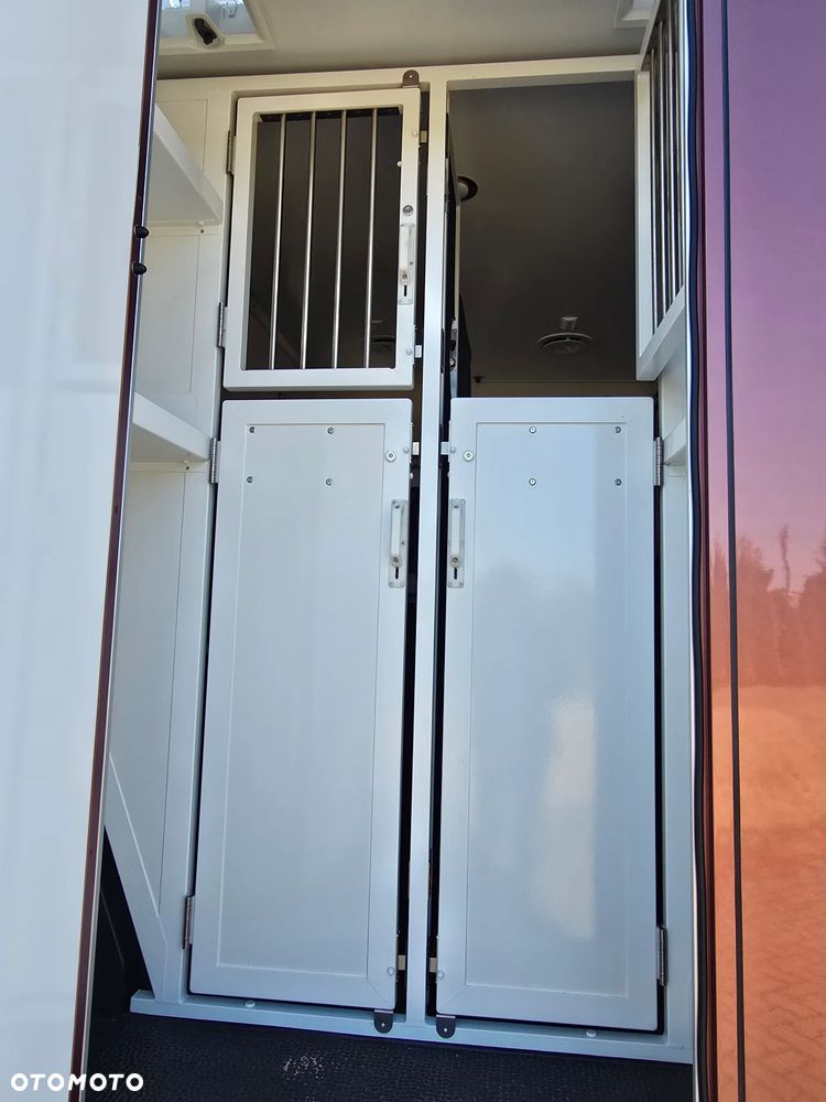 Renault Master Koniowóz - 26