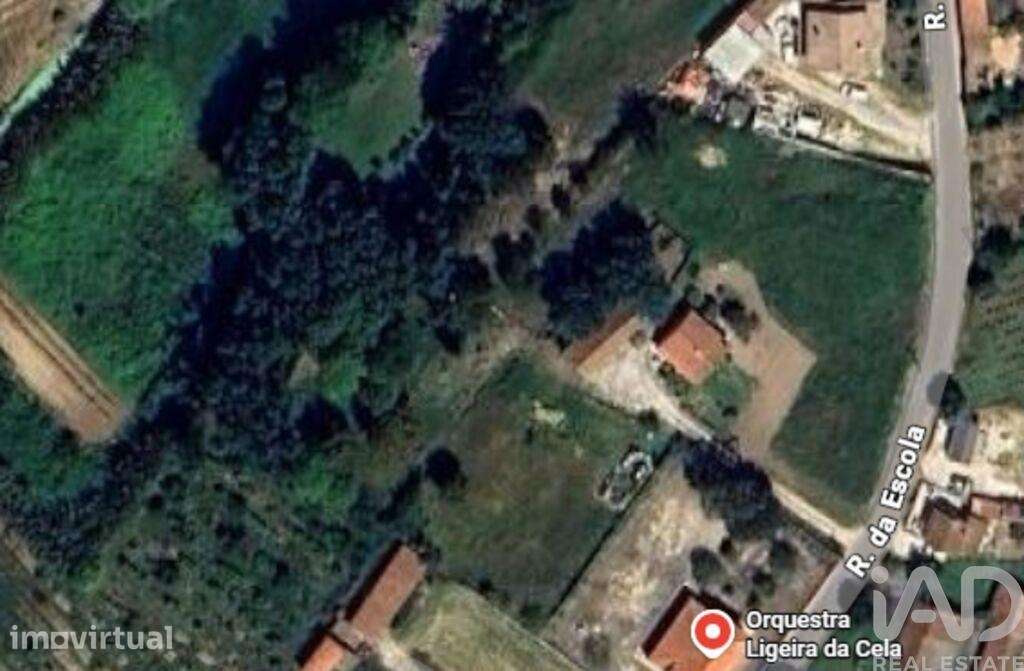 Terreno para construção em Cela - Grande imagem: 3/40