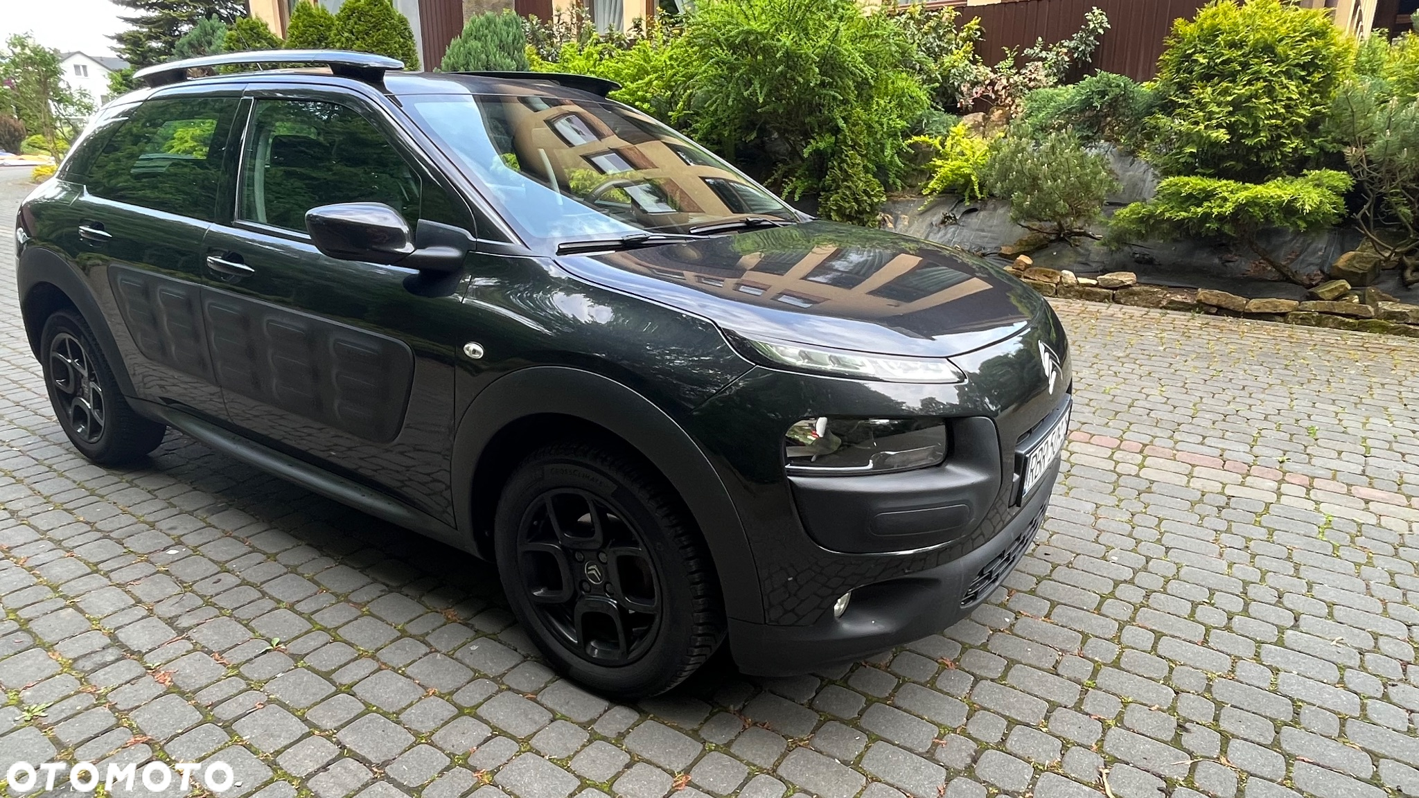 Citroën C4 Cactus 1.6 BlueHDi Shine - 3
