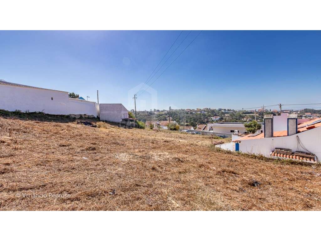 Terreno - Ericeira 3 km, A Casa das Casas - Grande imagem: 3/9