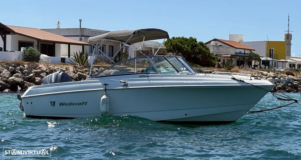 Wellcraft 210 Sportsman - 1