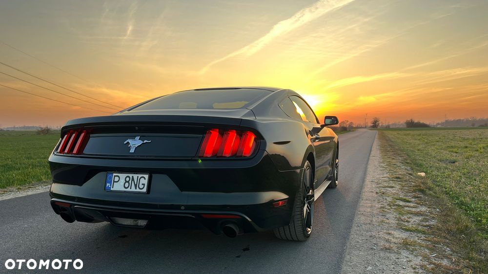 Ford Mustang 3.7 V6 - 7