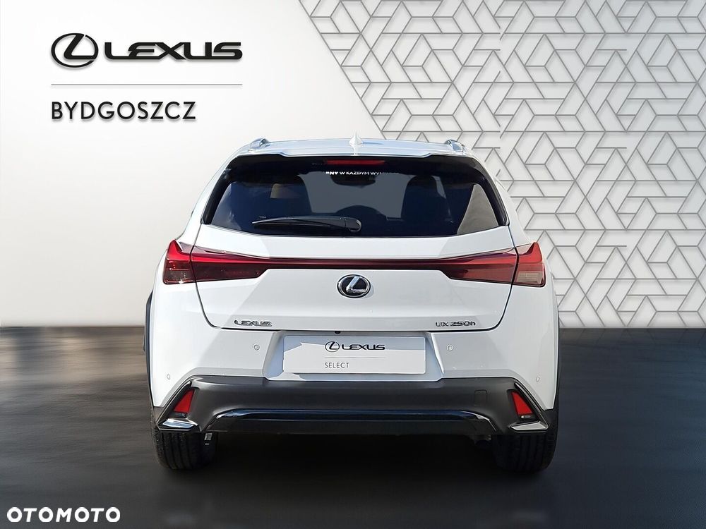 Lexus UX 250h GPF F Sport Design 2WD - 5