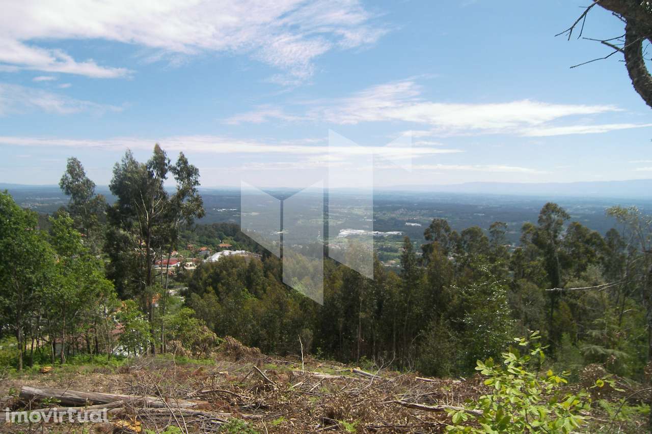 Terreno Para Construção  Venda em Guardão,Tondela - Grande imagem: 4/7