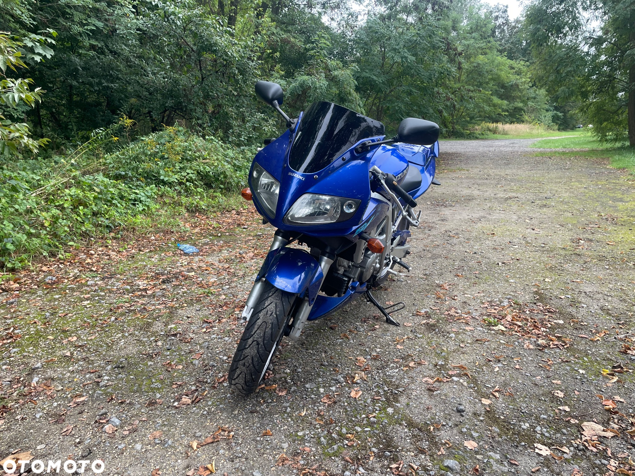 Suzuki SV - 3