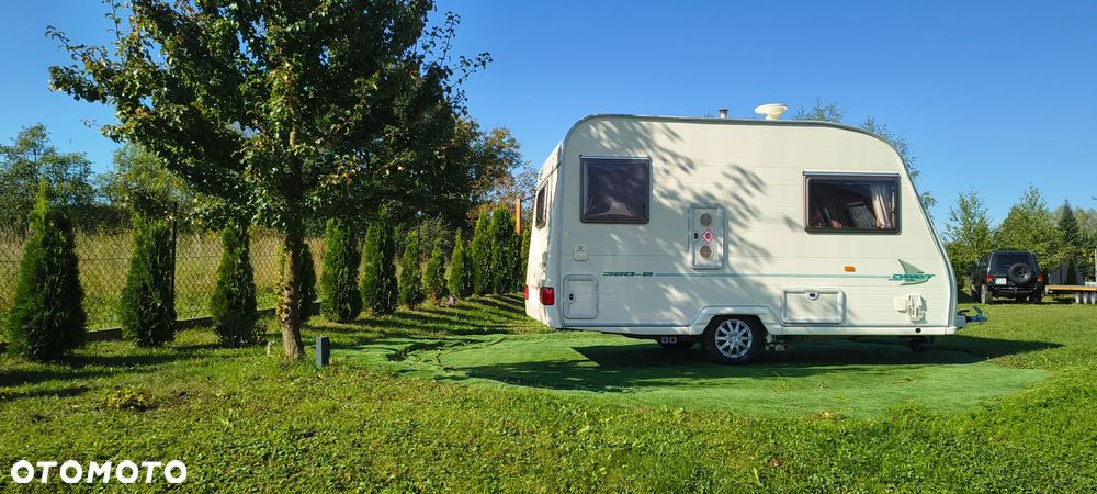 Avondale Dart DMC 900 kg - 4