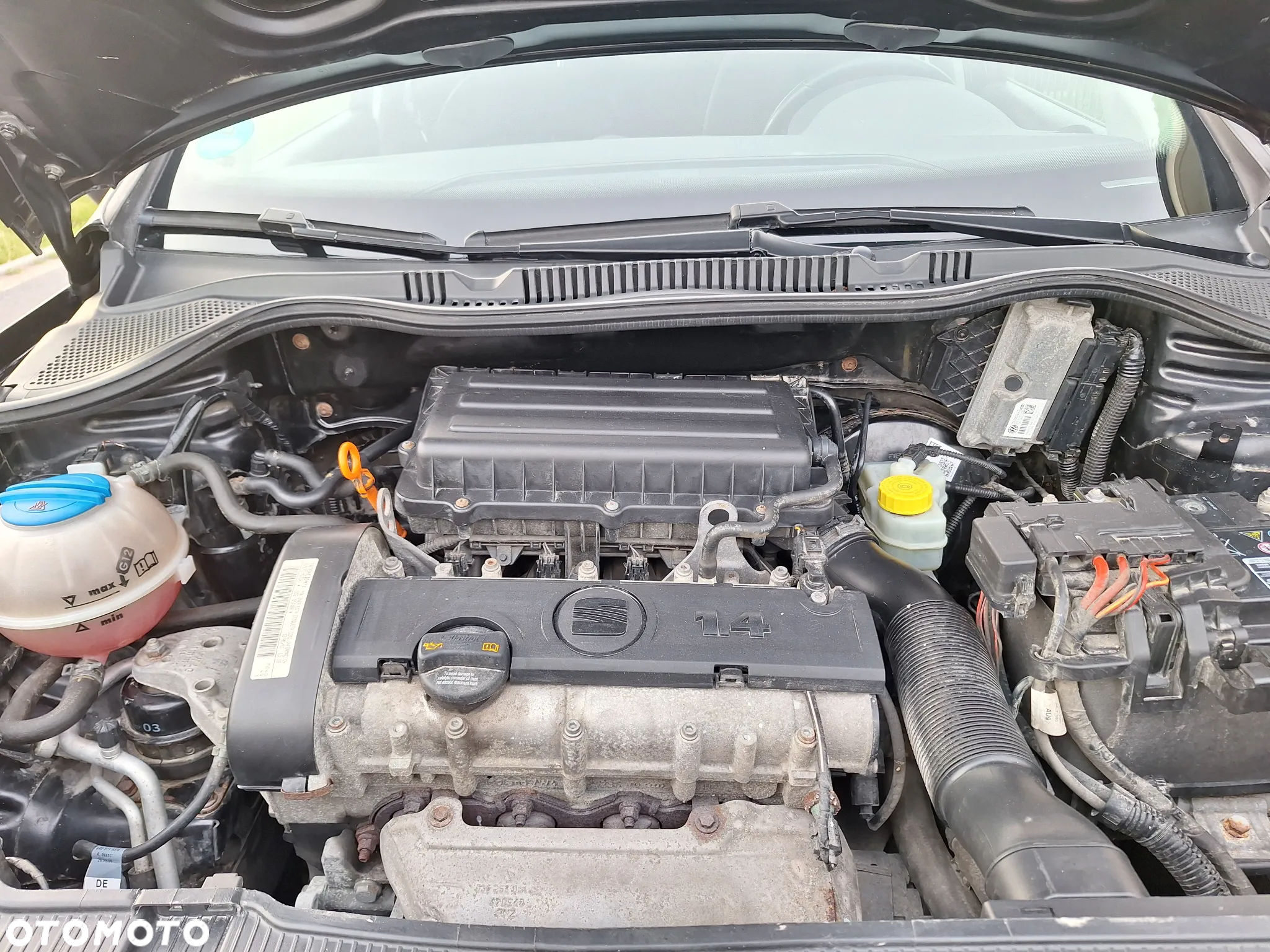 Seat Ibiza - 21