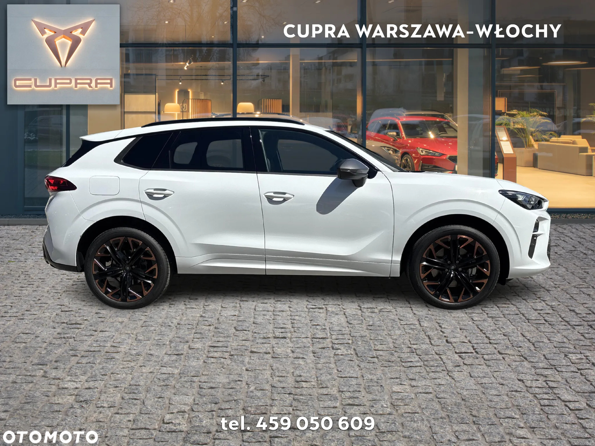 Cupra Terramar 2.0 TSI 4Drive DSG - 6
