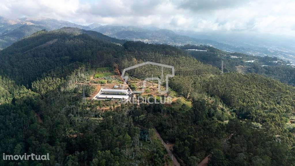 Terreno 17.542 m2 - Câmara de Lobos - Grande imagem: 5/14