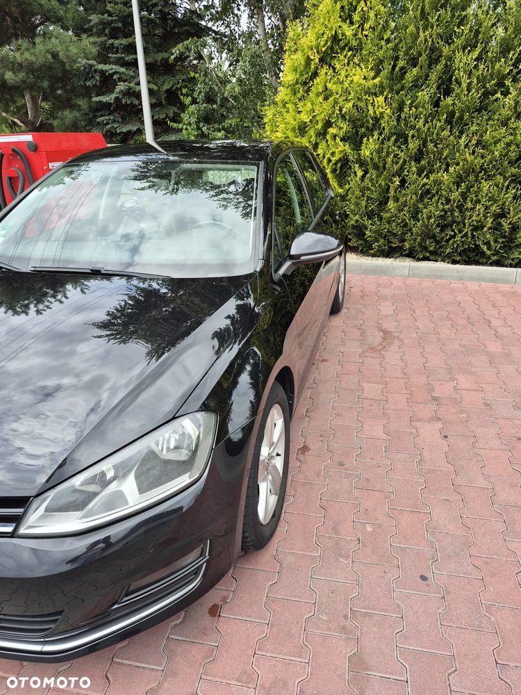 Volkswagen Golf 1.6 TDI DPF DSG Highline - 5