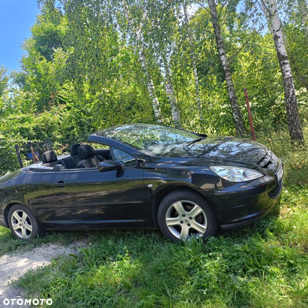 Peugeot 307 CC 135 - 13