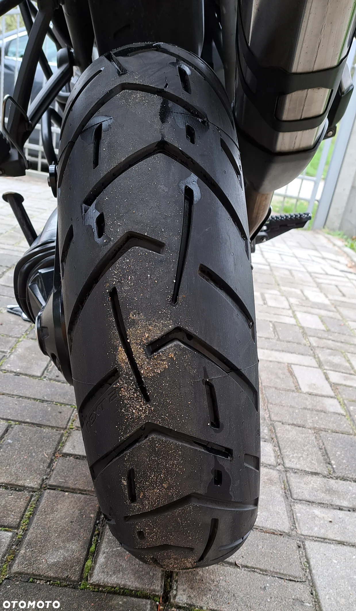 Triumph Tiger - 10