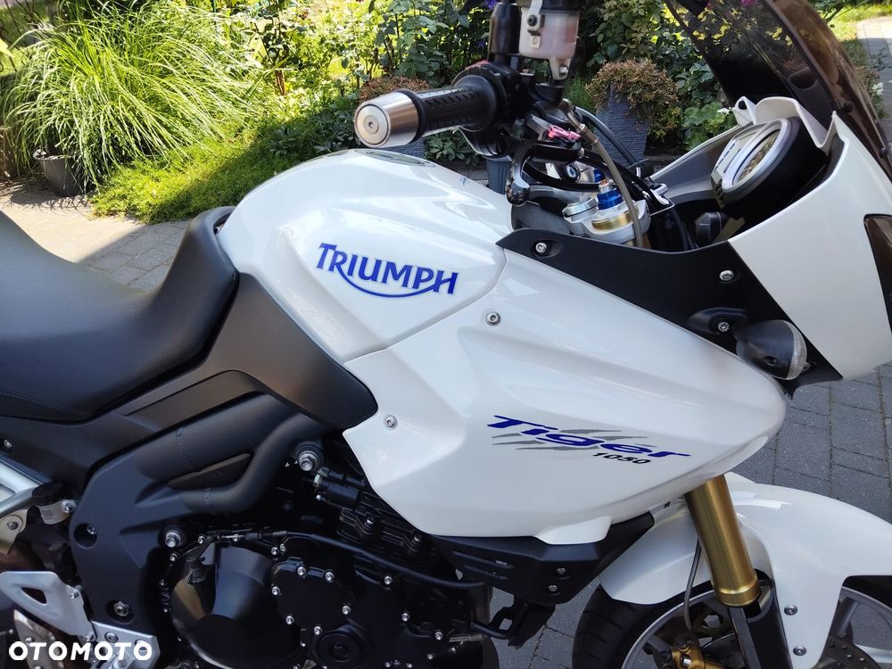 Triumph Tiger - 11