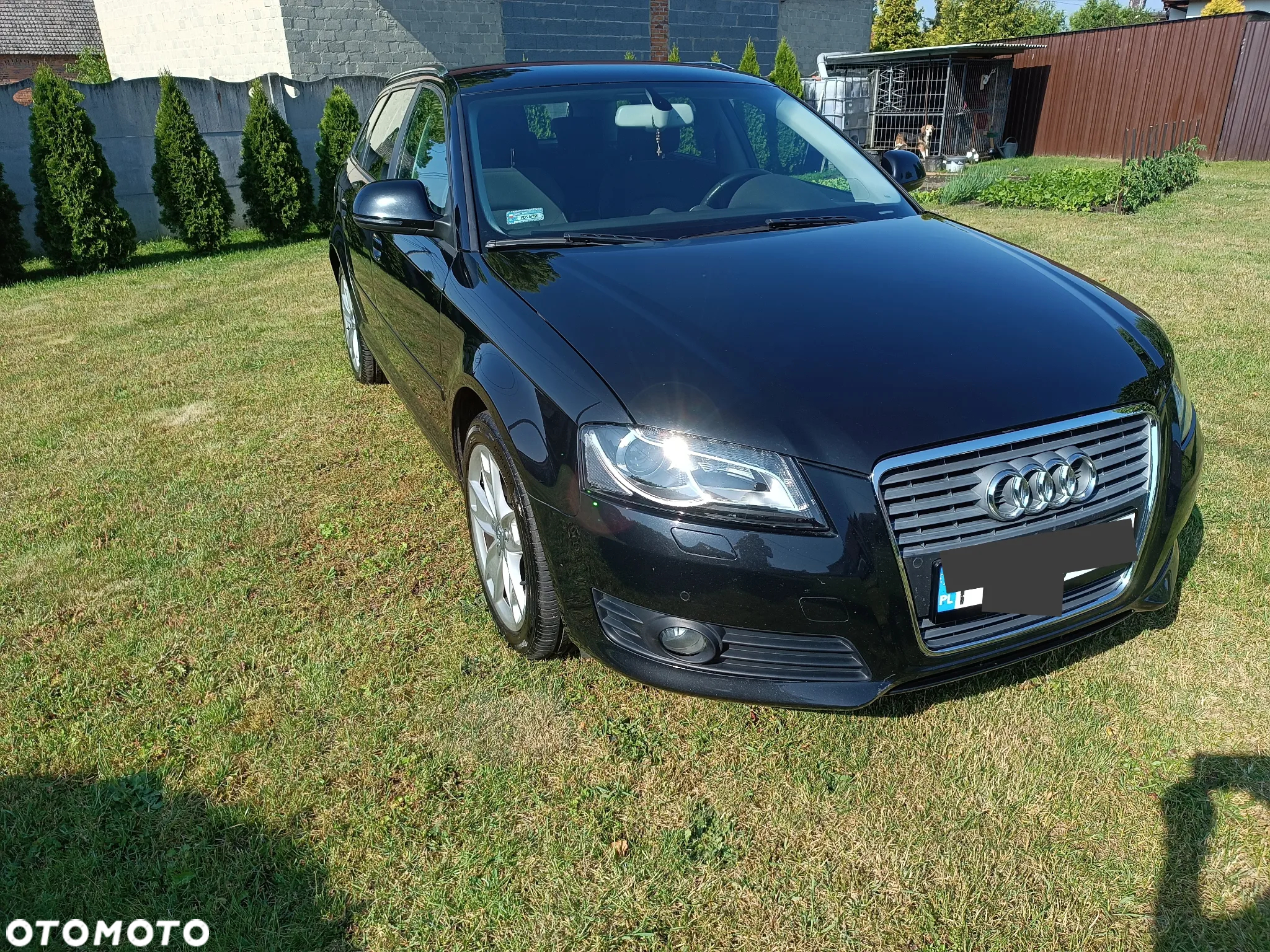 Audi A3 - 3