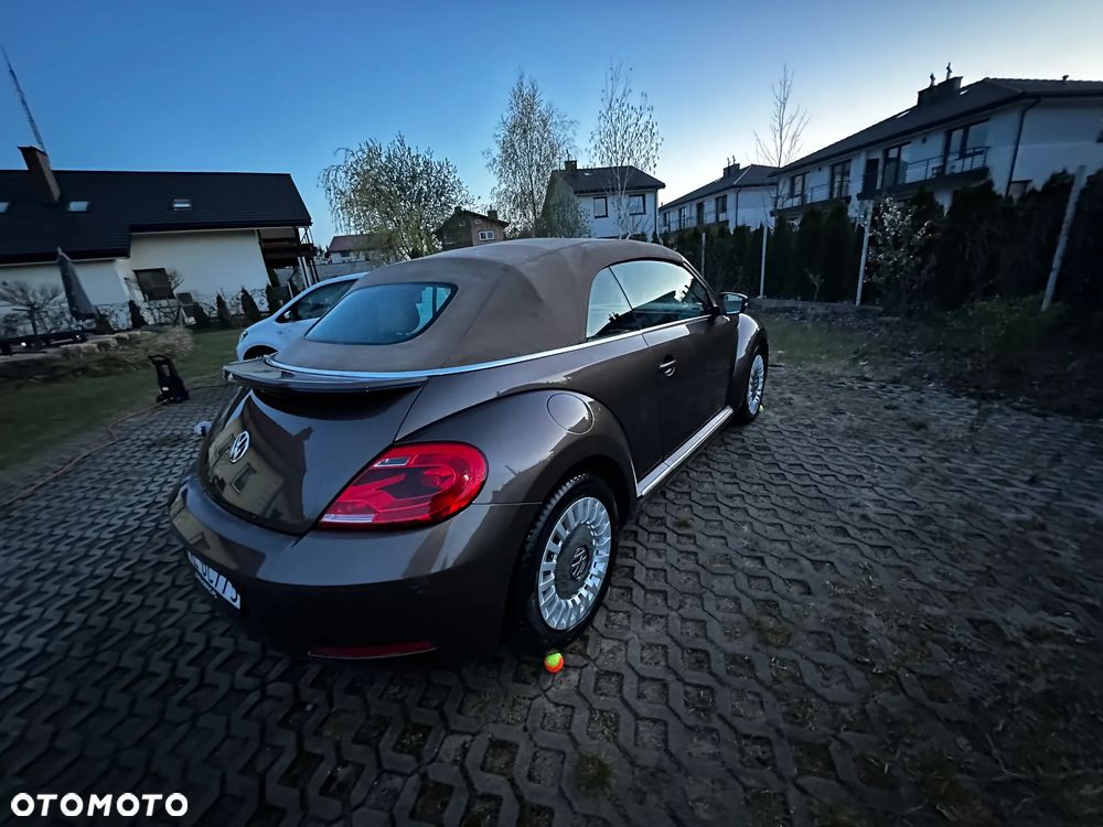 Volkswagen Beetle - 6