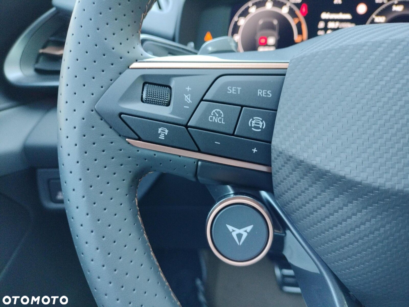 Cupra Terramar 1.5 eHybrid PHEV DSG - 24