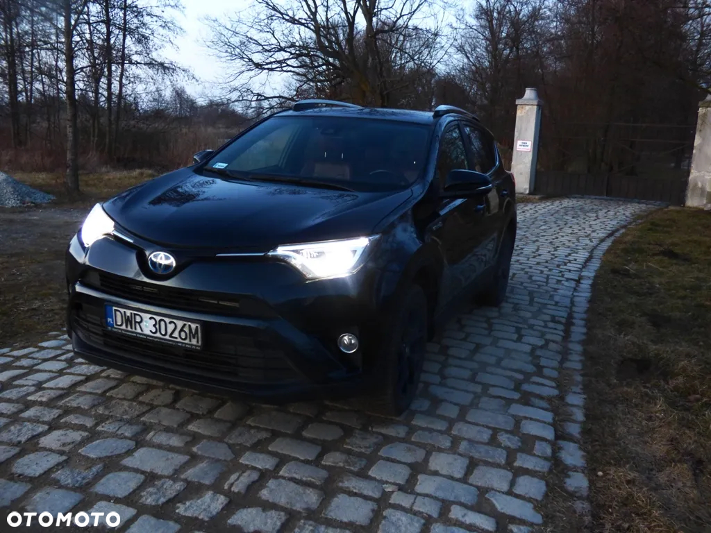 Toyota RAV4 Hybrid Prestige 4x2 - 12