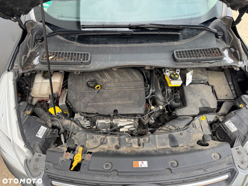 Ford Kuga 1.5 EcoBoost FWD Edition ASS - 24