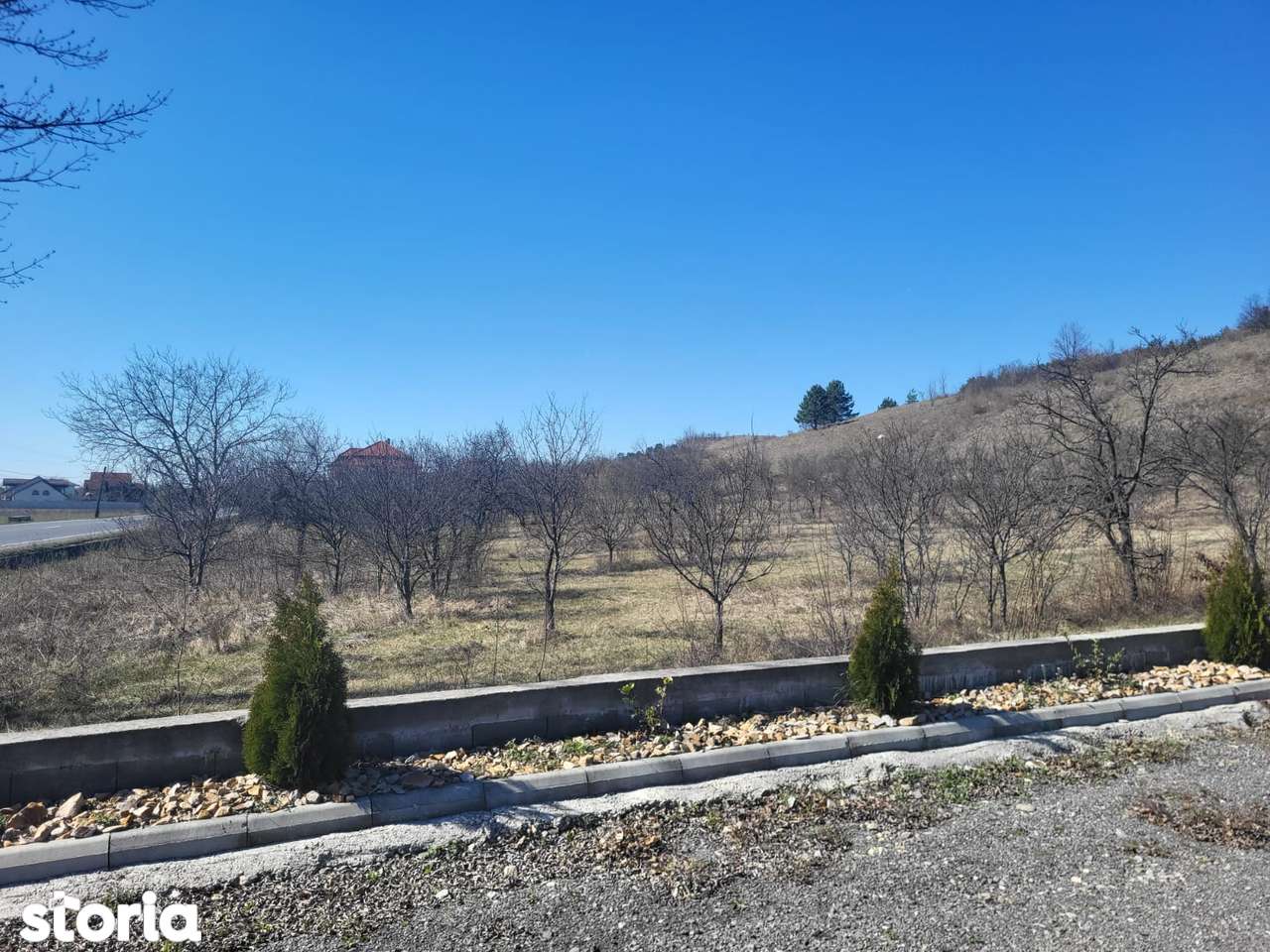 Parcele de vânzare în Tinăud Bihor - Imagine principală: 3/8