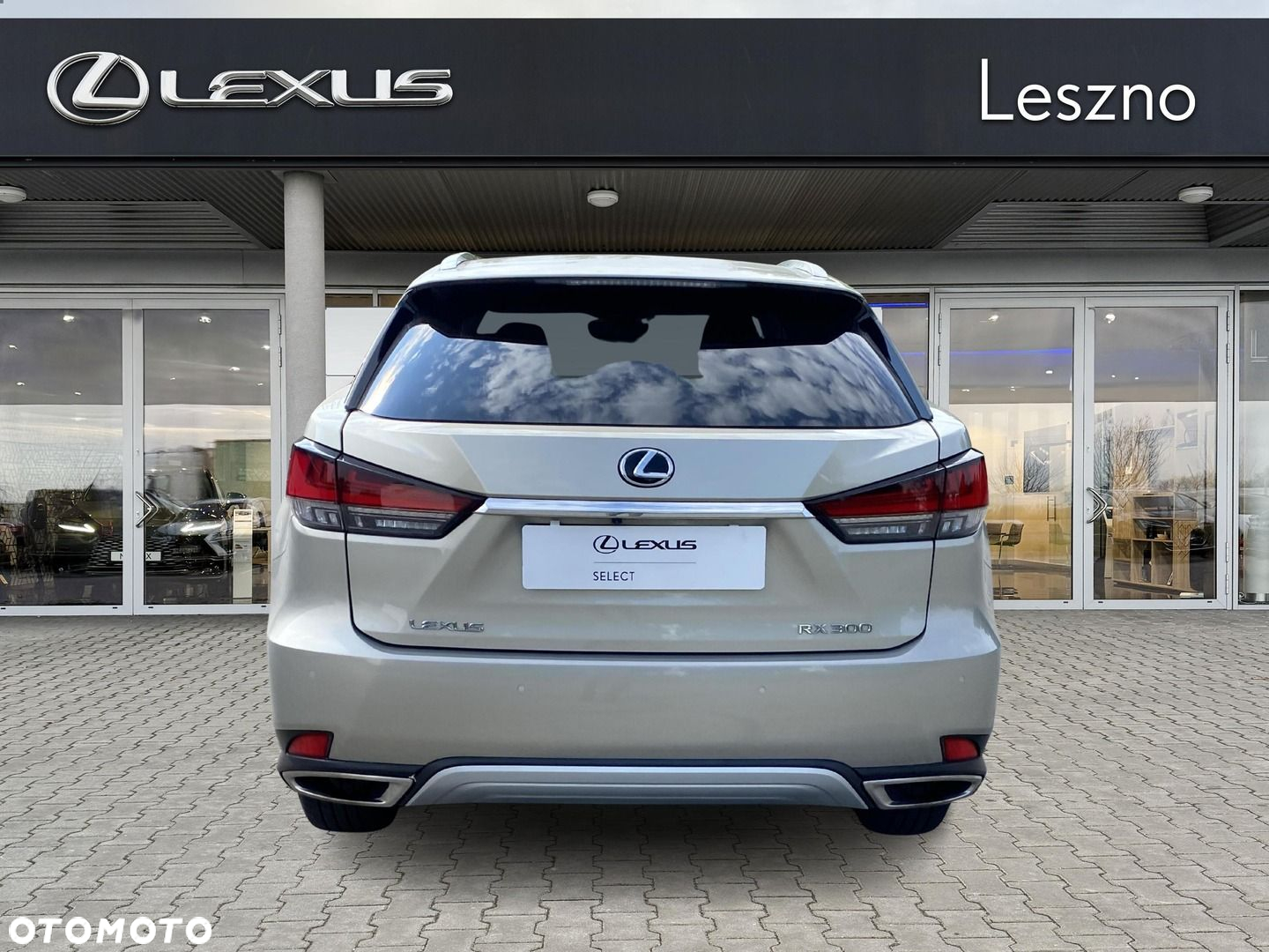 Lexus RX 300 F-Impression - 8