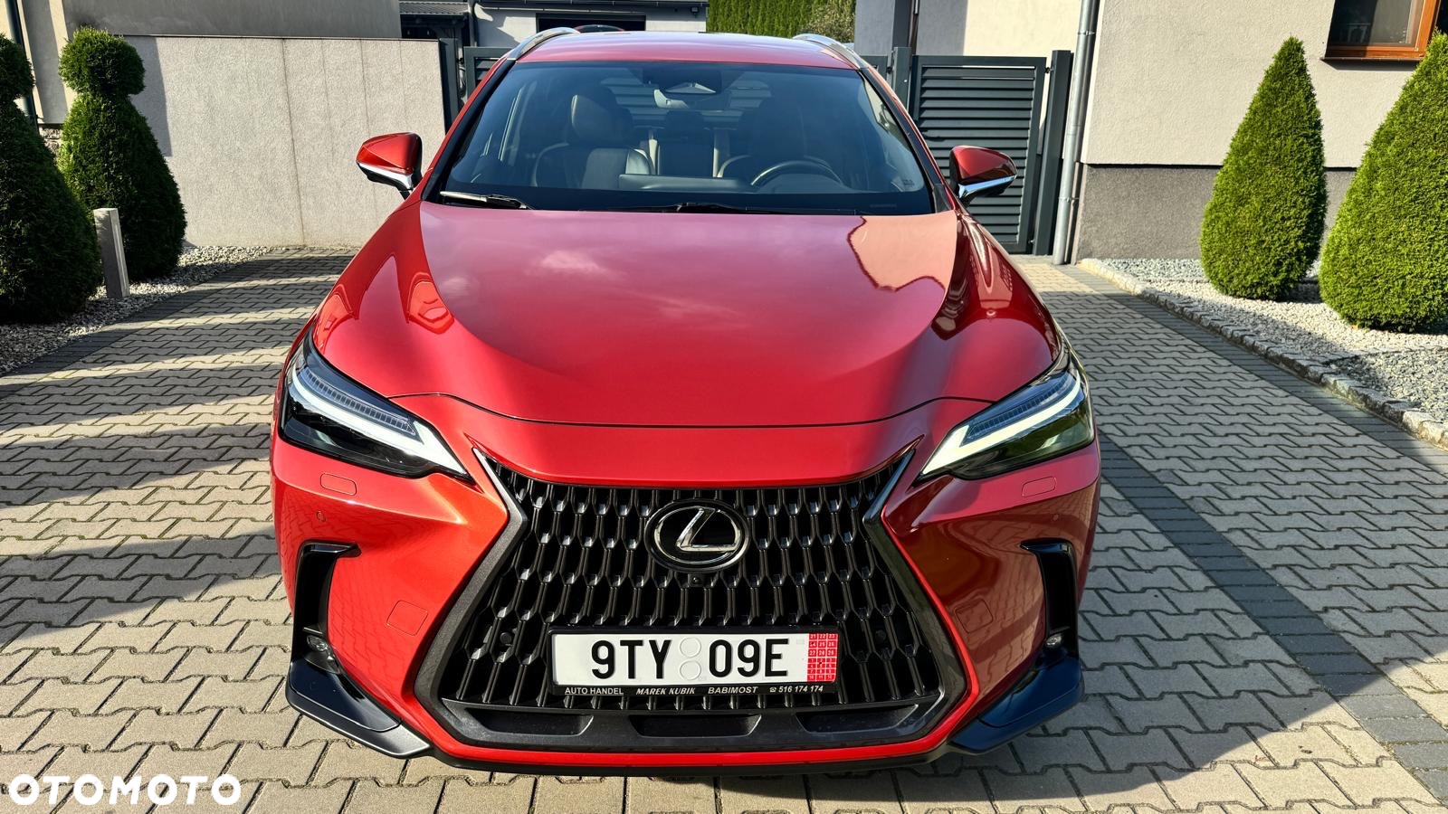 Lexus NX - 4