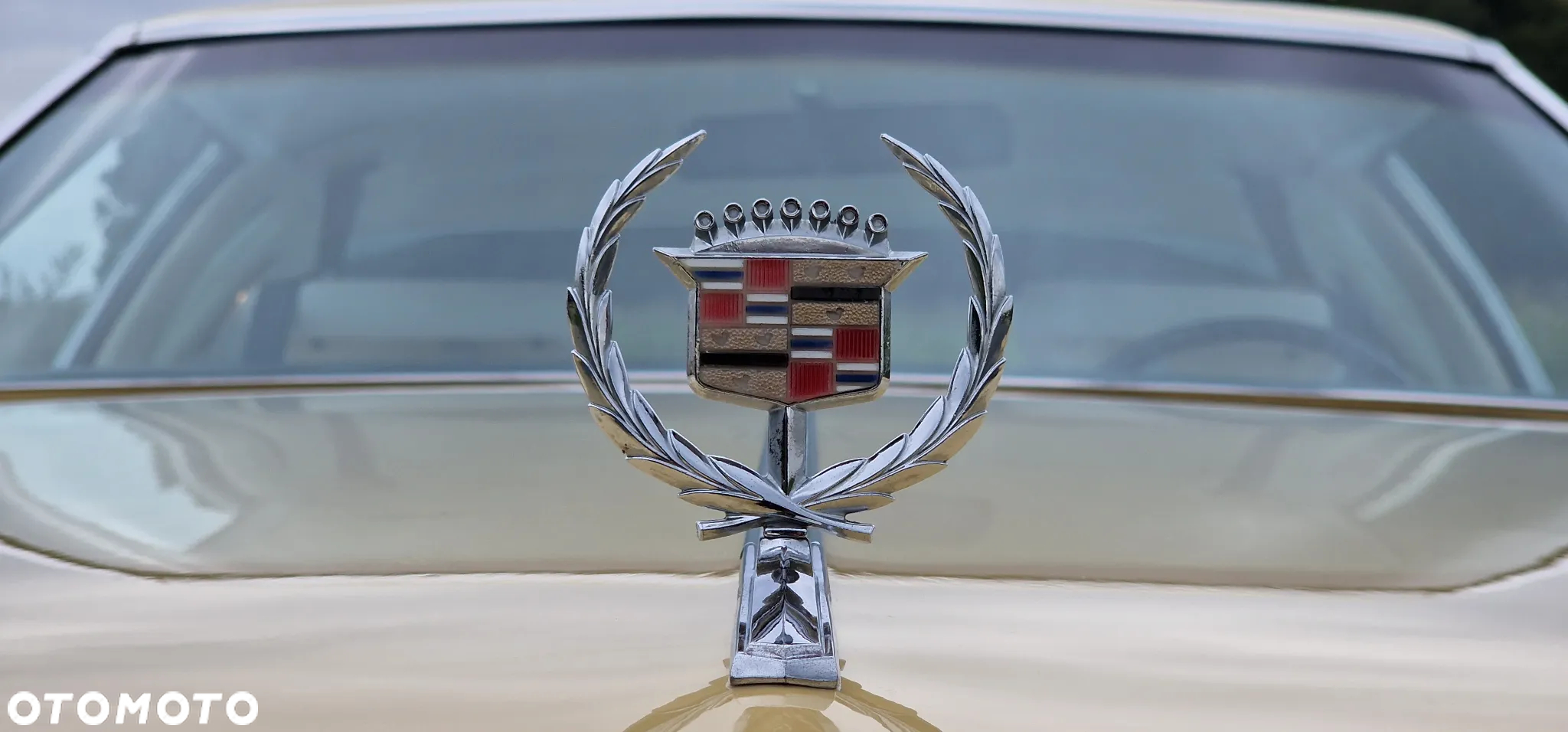 Cadillac Eldorado - 26