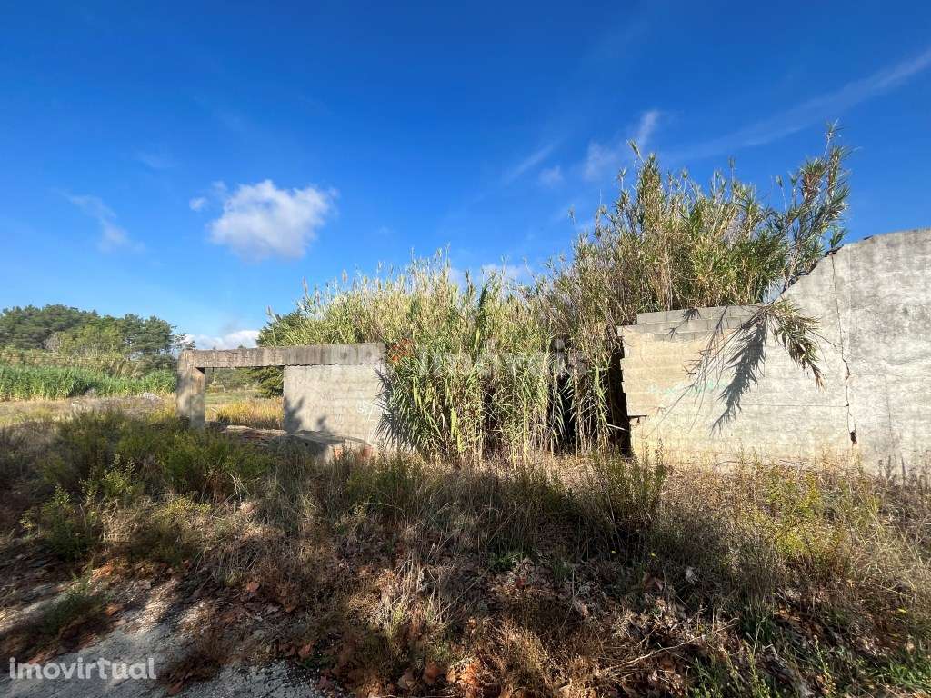 Armazém para recuperar com 1654 m2 de terreno, situado no Entroncam... - Grande imagem: 3/8