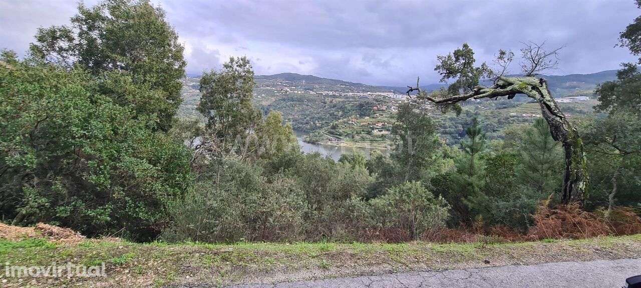 Quinta / Baião, Rio Douro - Grande imagem: 5/6