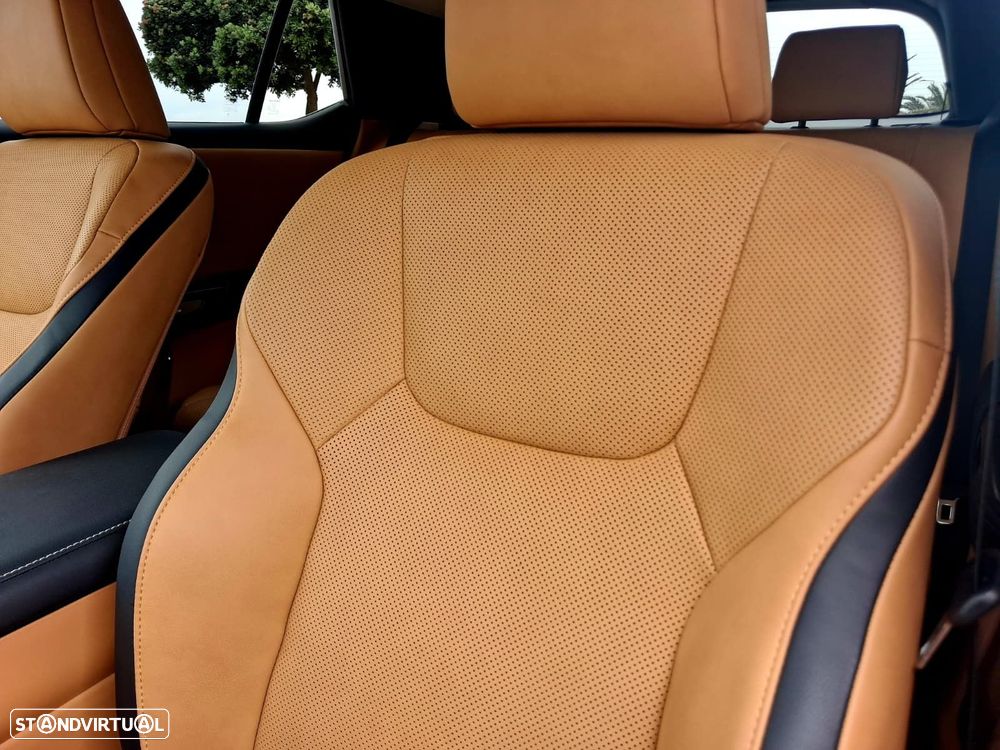 Lexus RZ 300e Premium - 31