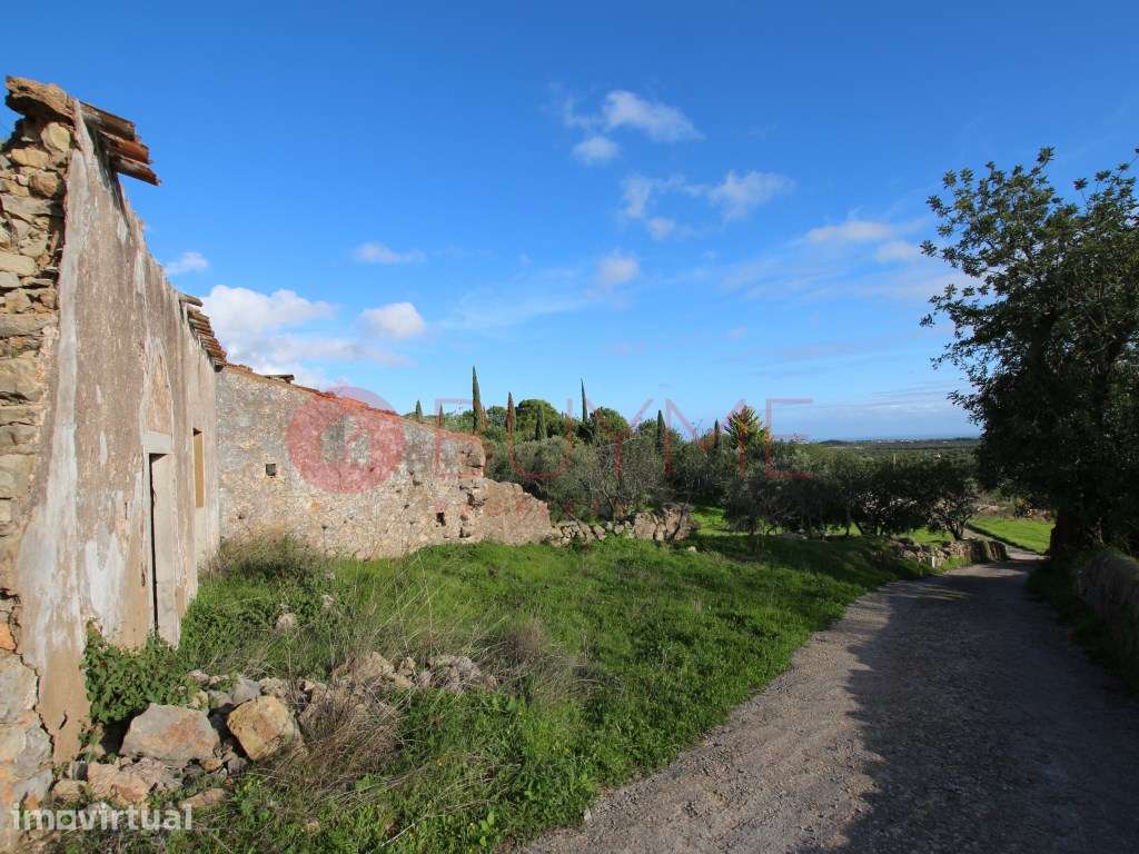 Terreno Urbano com Vista Mar em Cerro do Leiria, Santa Catarina Fon... - Grande imagem: 5/6