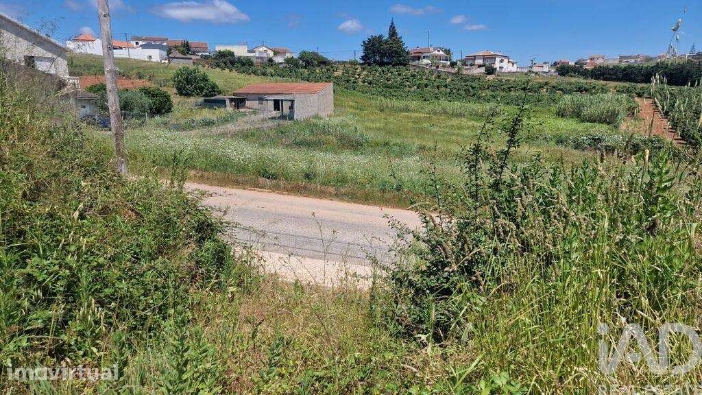 Terreno em Lamas e Cercal de 2920,00 m2 - Grande imagem: 4/9