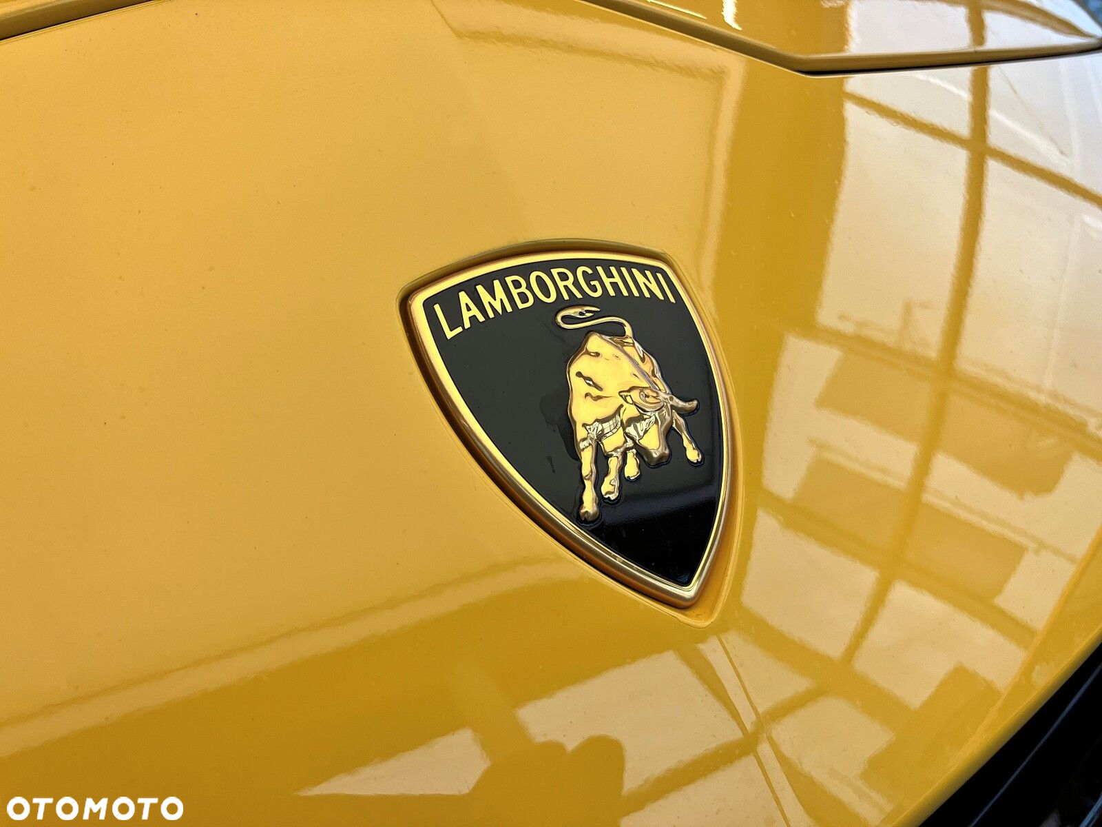 Lamborghini Urus - 6