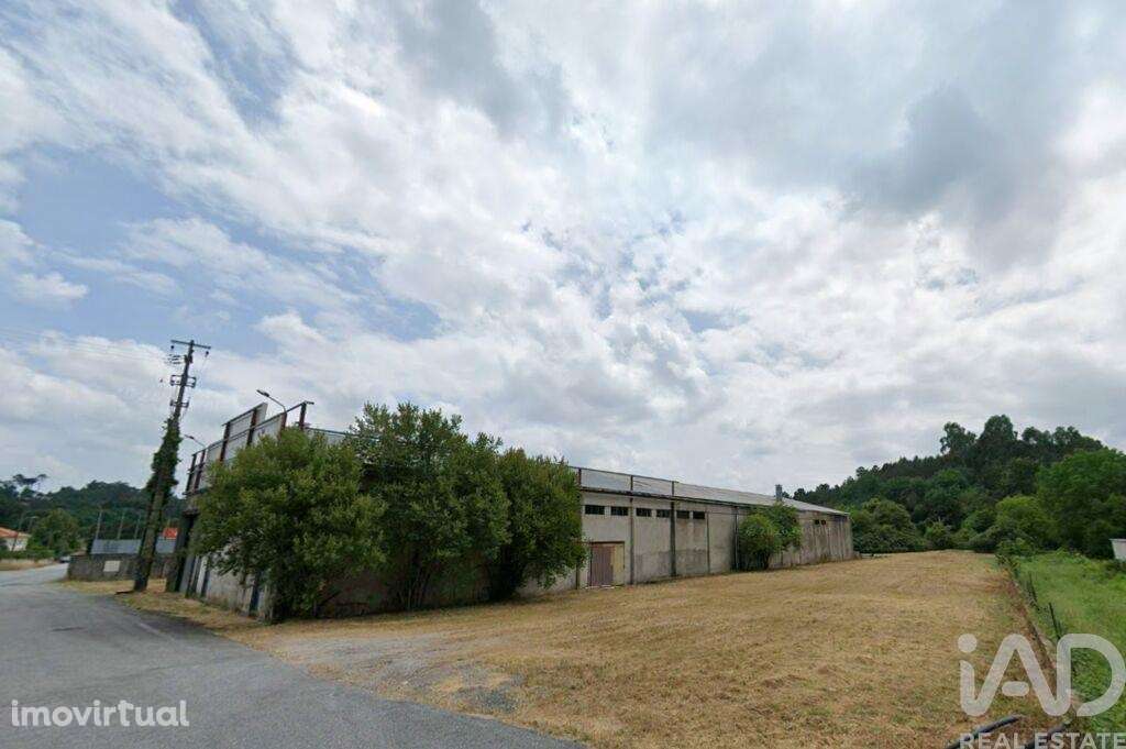 Hangar em Campo de Besteiros de 1664,00 m2 - Grande imagem: 3/7