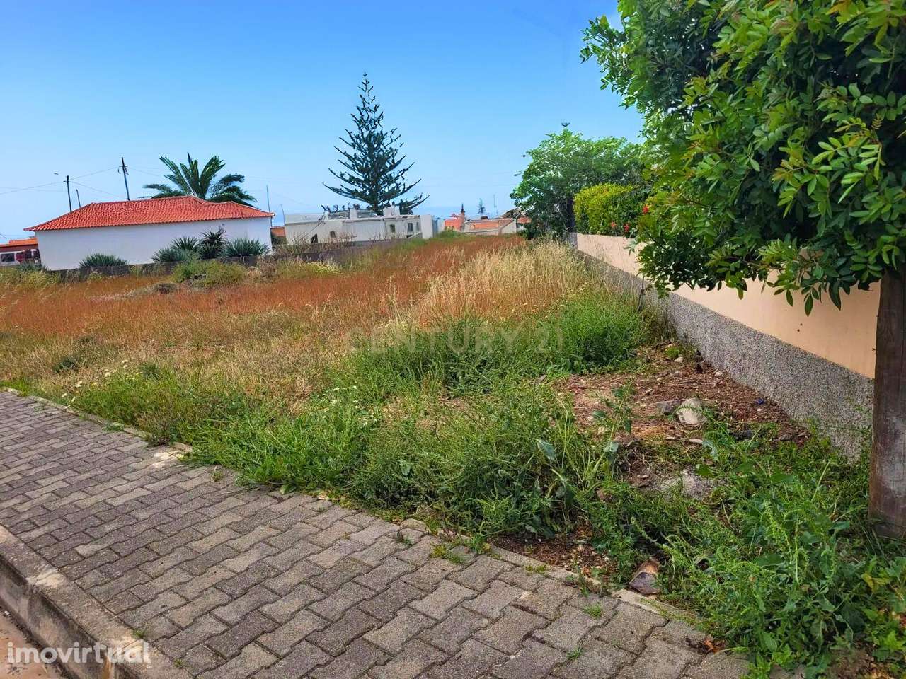 Terreno em Porto Santo – Oportunidade Única num Cenário Natural Incomp - Grande imagem: 2/9
