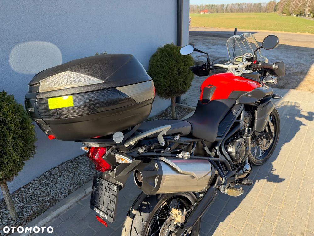 Triumph Tiger - 23