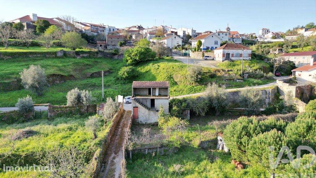 Terreno misto em São Miguel, Santa Eufémia e Rabaçal - Grande imagem: 5/28