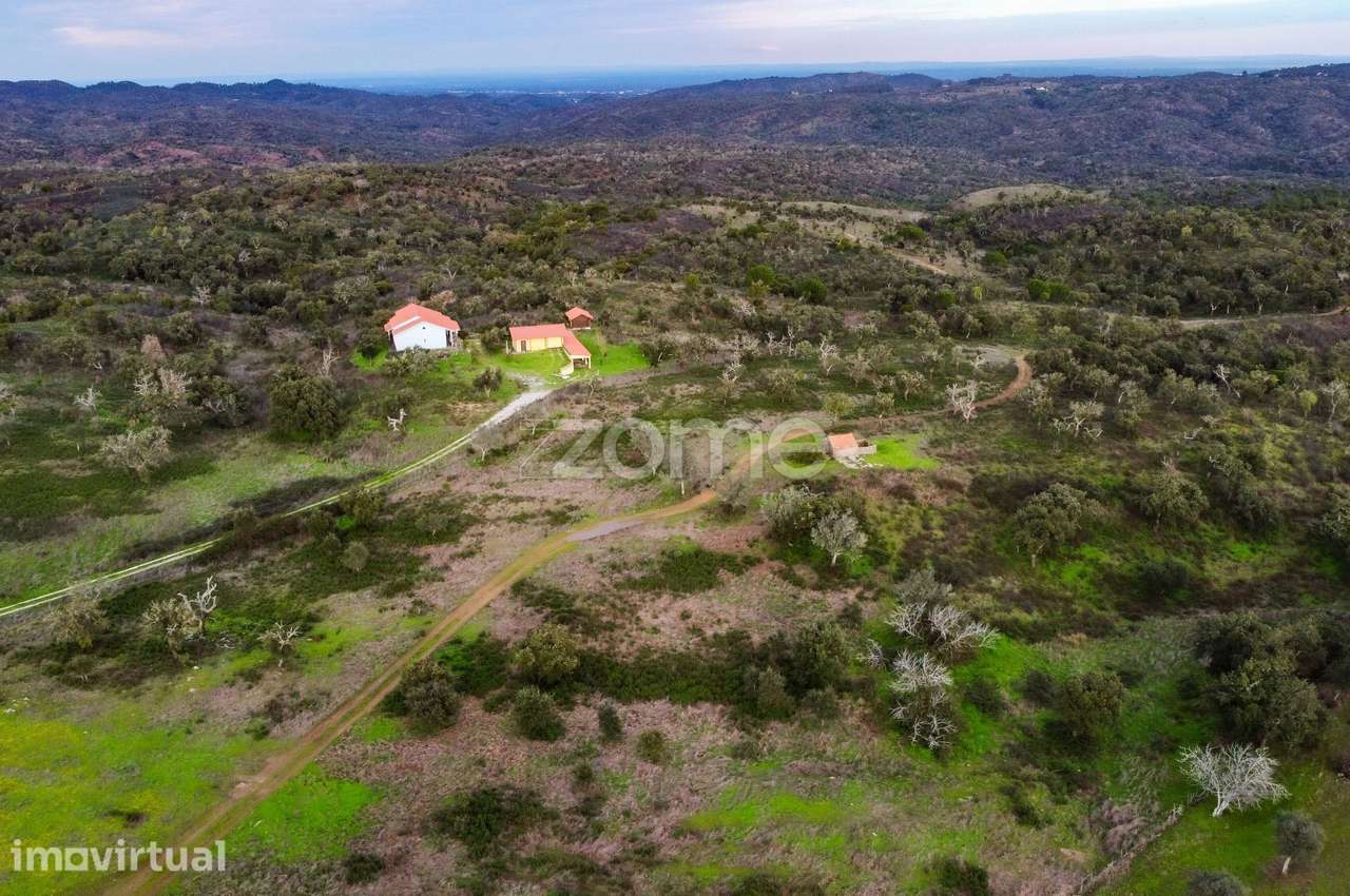 Terreno Misto 21HA - Grande imagem: 2/18
