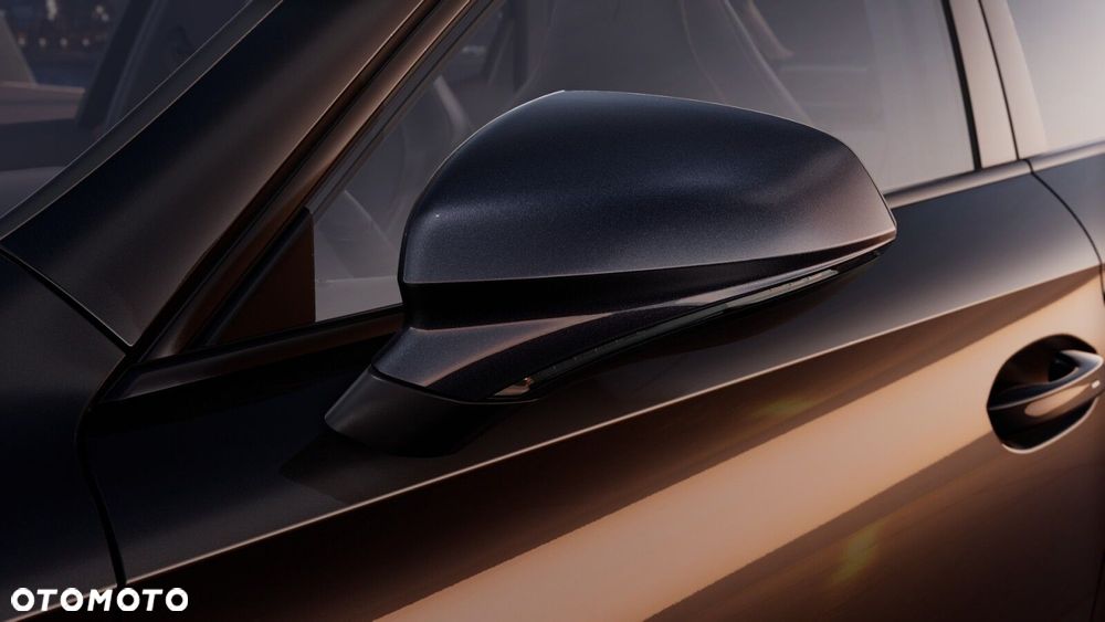 Cupra Formentor 2.0 TSI 4Drive DSG - 10