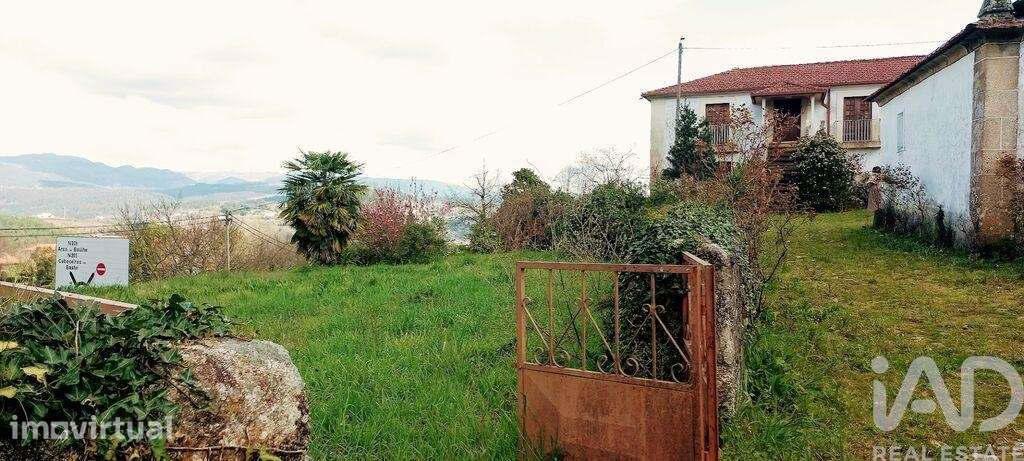 Quinta T3 em Faia de 573,00 m2 - Grande imagem: 4/26