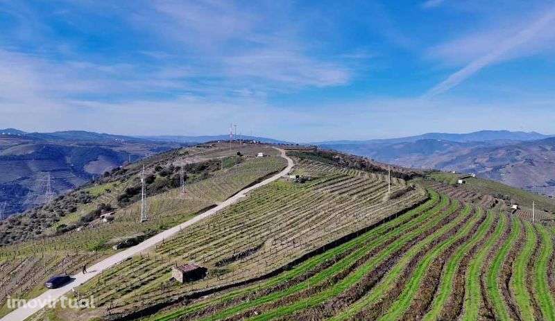 Vende-se terreno rústico em Valença do Douro - Tabuaço - Grande imagem: 2/12