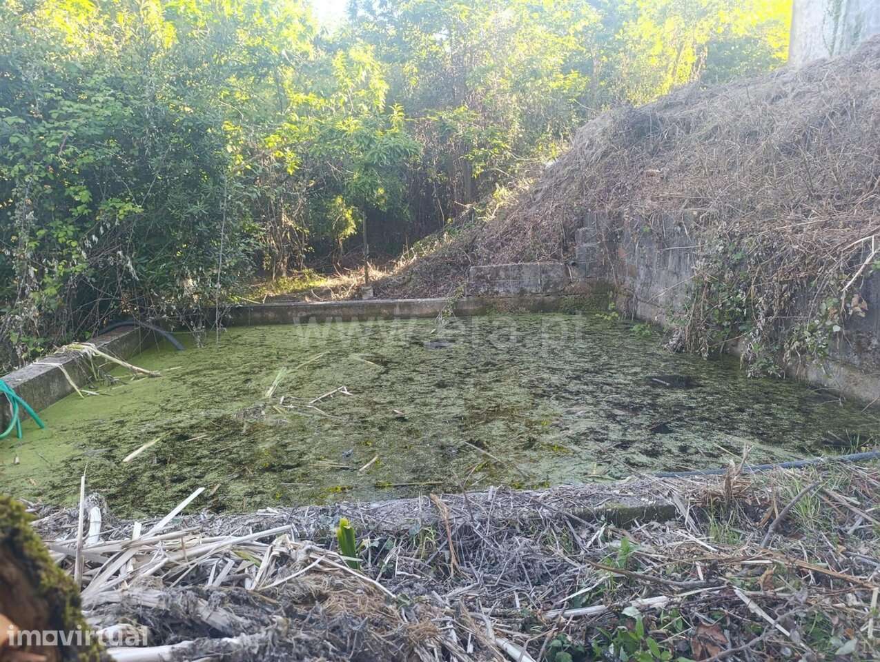 Terreno / Fundão, Alcongosta - Grande imagem: 2/16