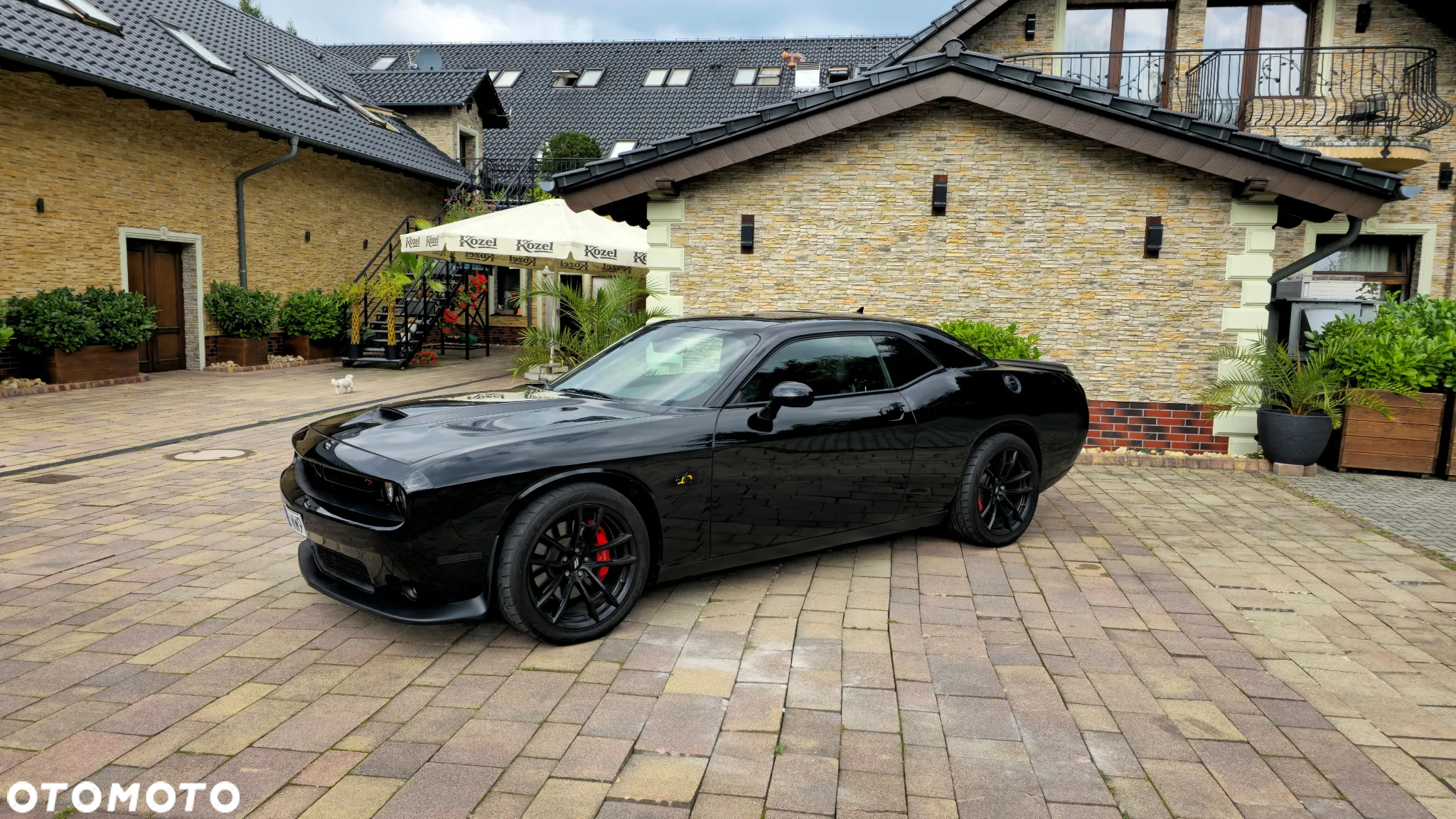 Dodge Challenger 6.4 Scat Pack - 2