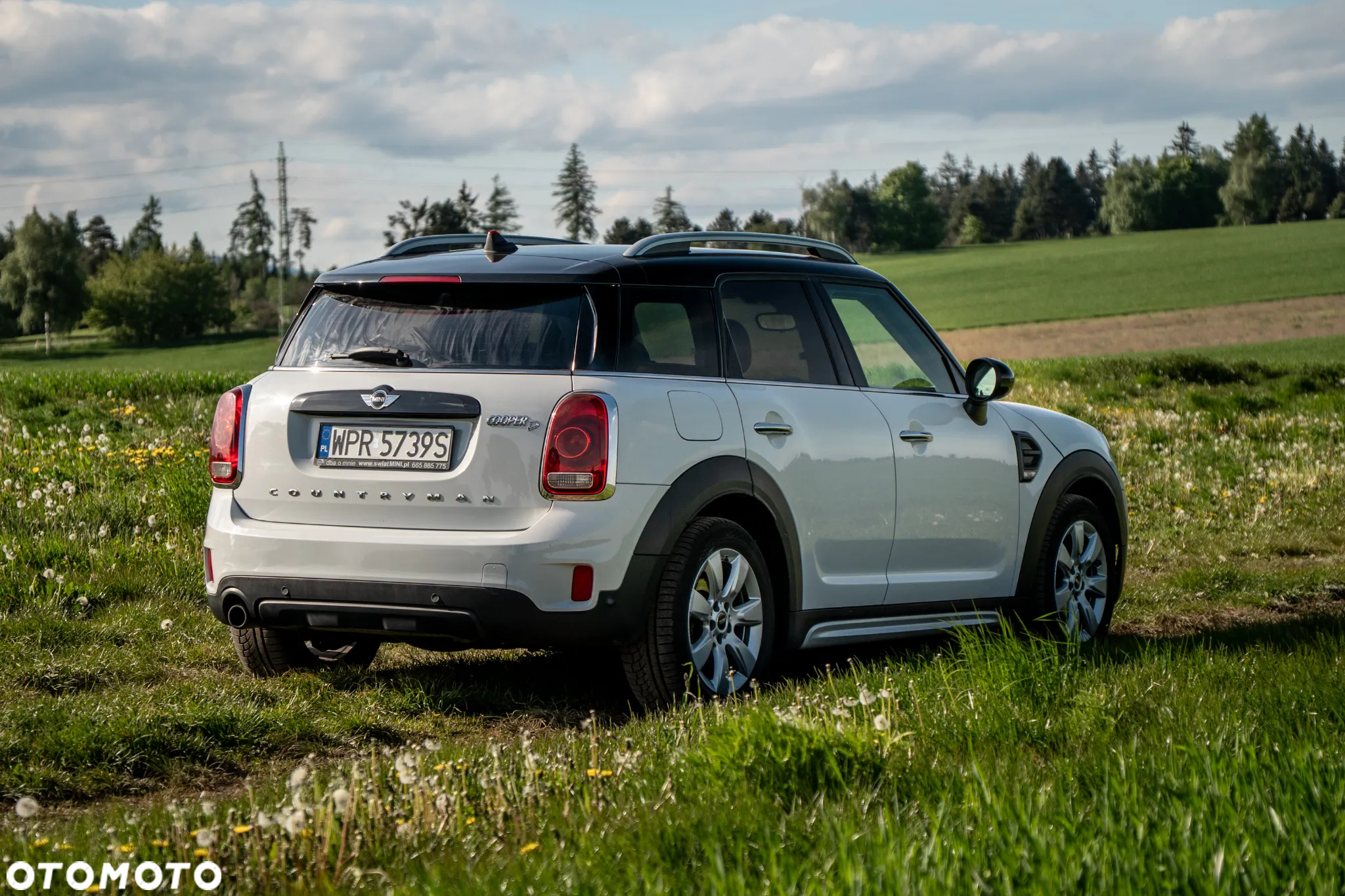 MINI Countryman Cooper D ALL4 - 7