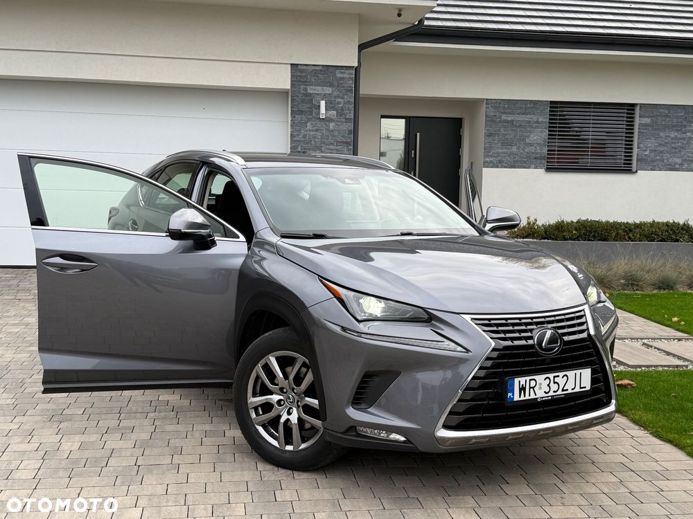 Lexus NX - 8