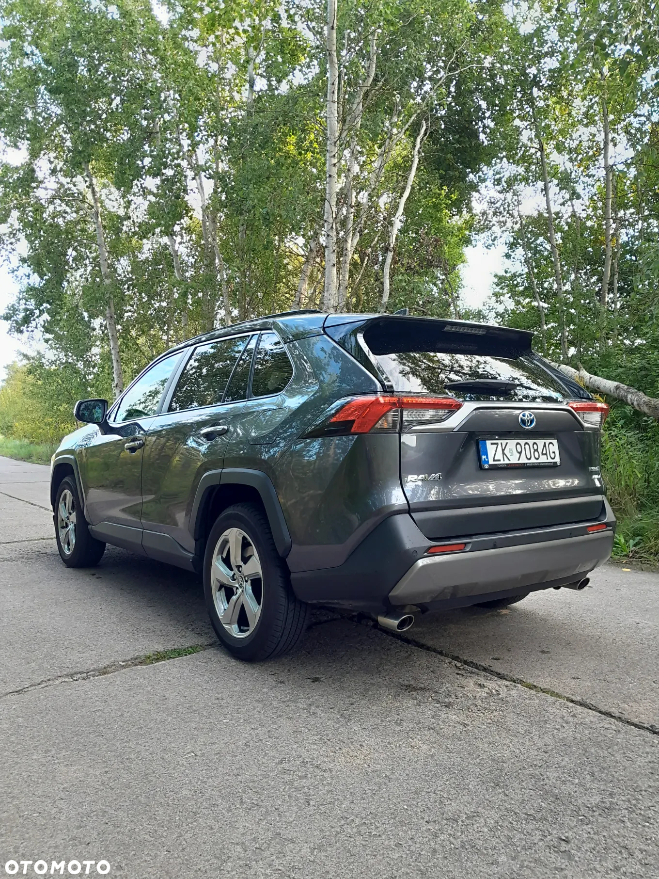 Toyota RAV4 2.5 Hybrid Executive 4x4 - 10