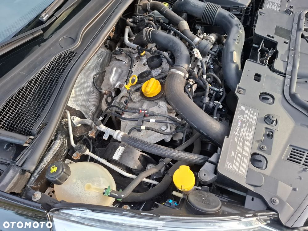 Renault Clio - 24
